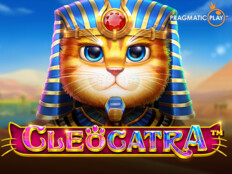 Dragon tiger casino online80